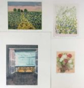 Sue Kavanagh, contemporary, group of 5 signed limited edition coloured etchings - still life studies