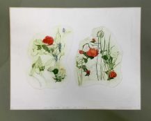 Sue Kavanagh, contemporary, group of 6 signed limited edition coloured etchings - still life and lan