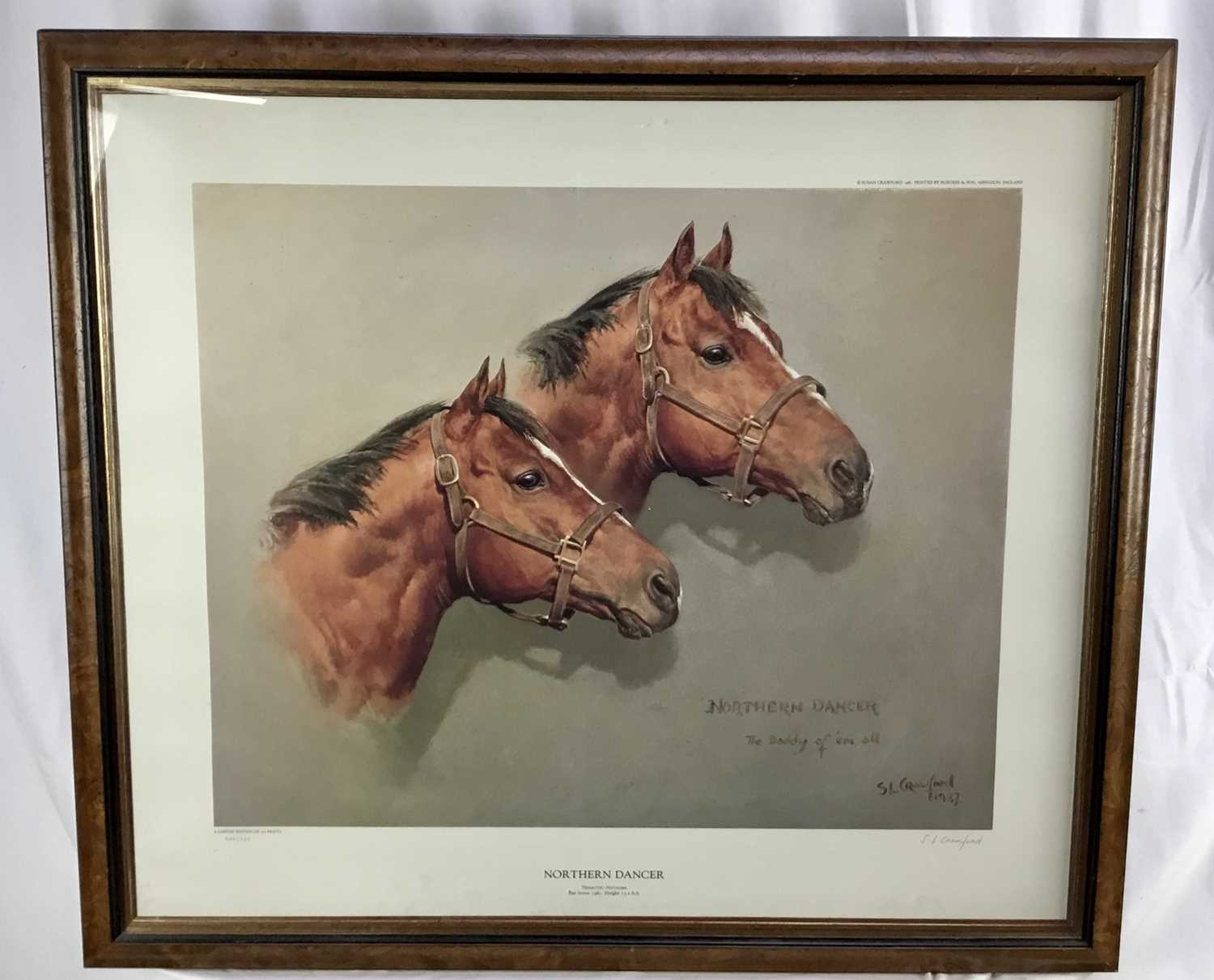 Susan Crawford signed limited edition print - Northern Dancer, 226/250, printed 1987, in glazed fram - Image 2 of 11