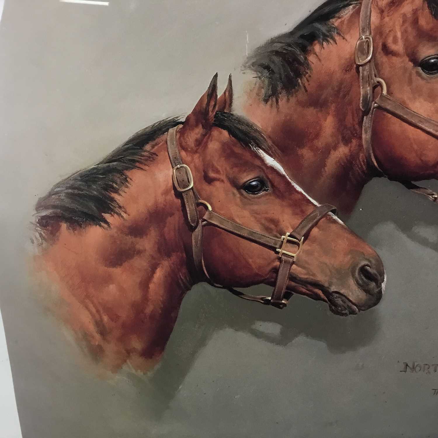 Susan Crawford signed limited edition print - Northern Dancer, 226/250, printed 1987, in glazed fram - Image 7 of 11