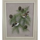 Paul Dawson 20th century watercolour - Goldcrests, signed, 20cm x 27cm in glazed frame, 43cm x 50cm