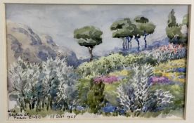 John Codrington (1898-1991) watercolour - Wild Garden at Paarl, Western Cape, South Africa 1967, 16c