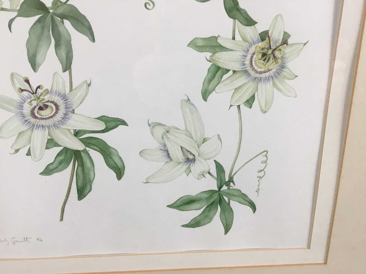 Judy Garett, watercolour - Passion flower, signed and dated '94, 28cm x 42cm, mounted in glazed gilt - Image 4 of 5