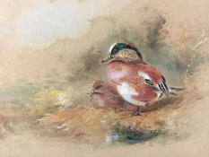 James Stinton (1870-1961) Royal Worcester Artist, two watercolours in a single frame, ducks and phea