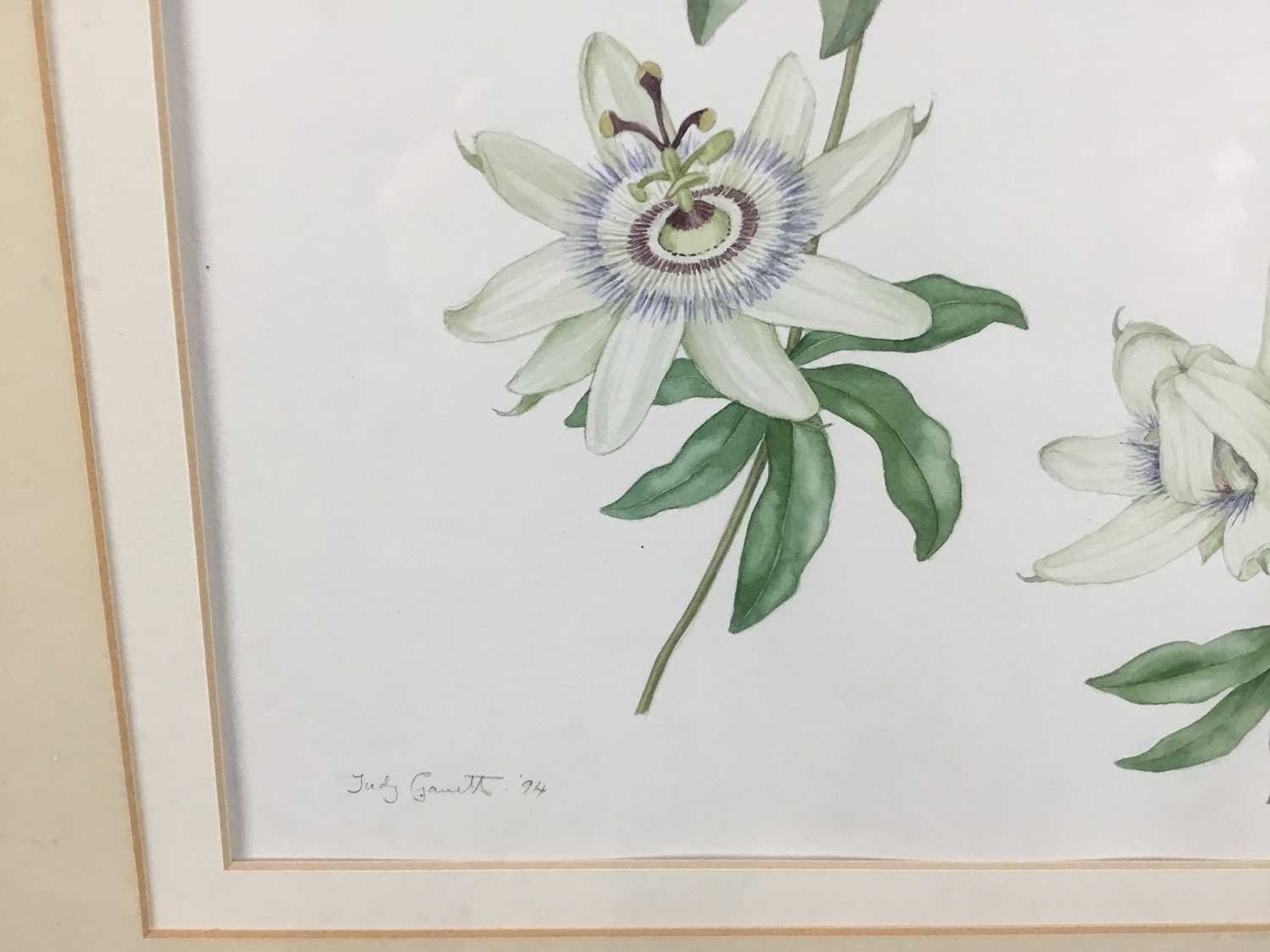 Judy Garett, watercolour - Passion flower, signed and dated '94, 28cm x 42cm, mounted in glazed gilt - Image 2 of 5