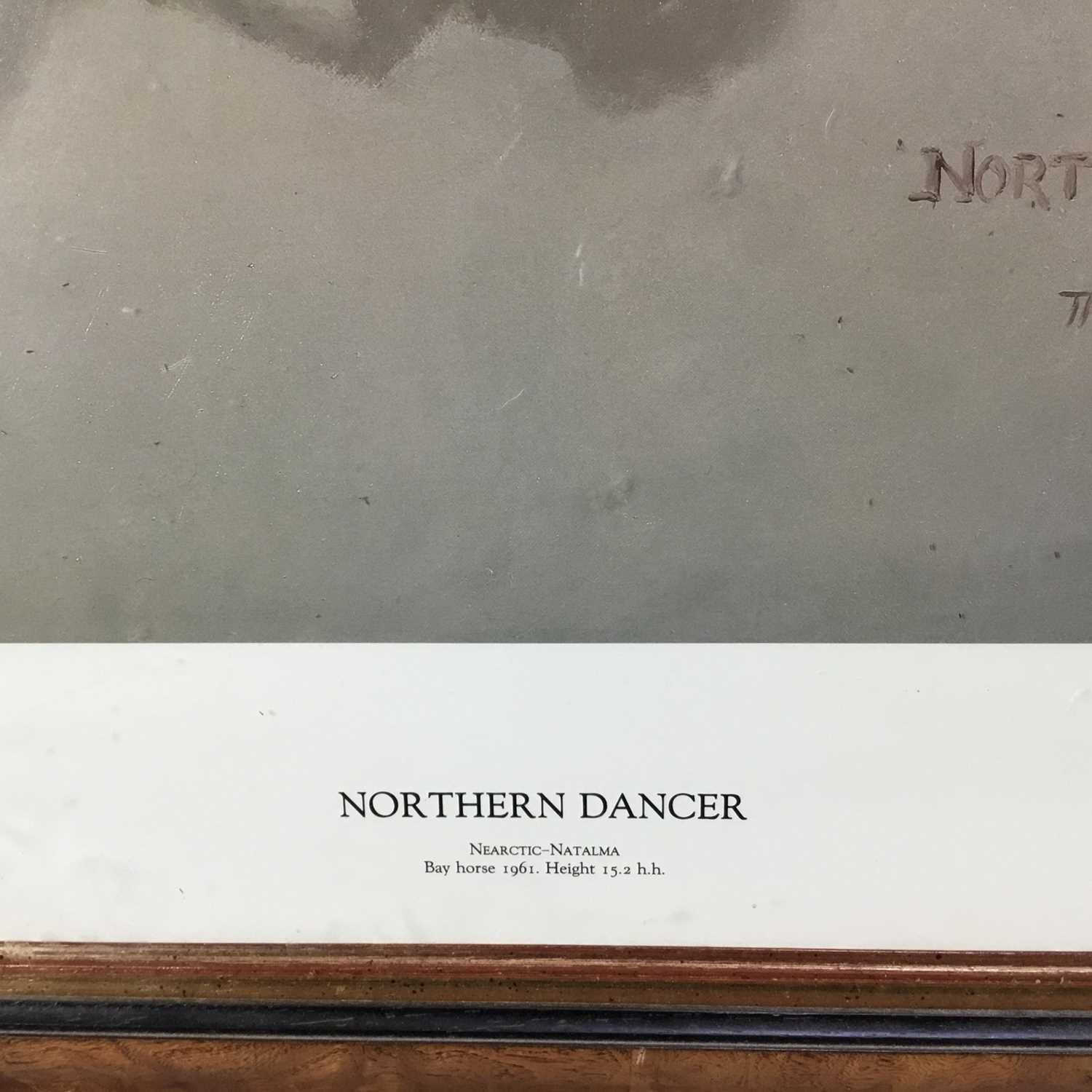 Susan Crawford signed limited edition print - Northern Dancer, 226/250, printed 1987, in glazed fram - Image 4 of 11