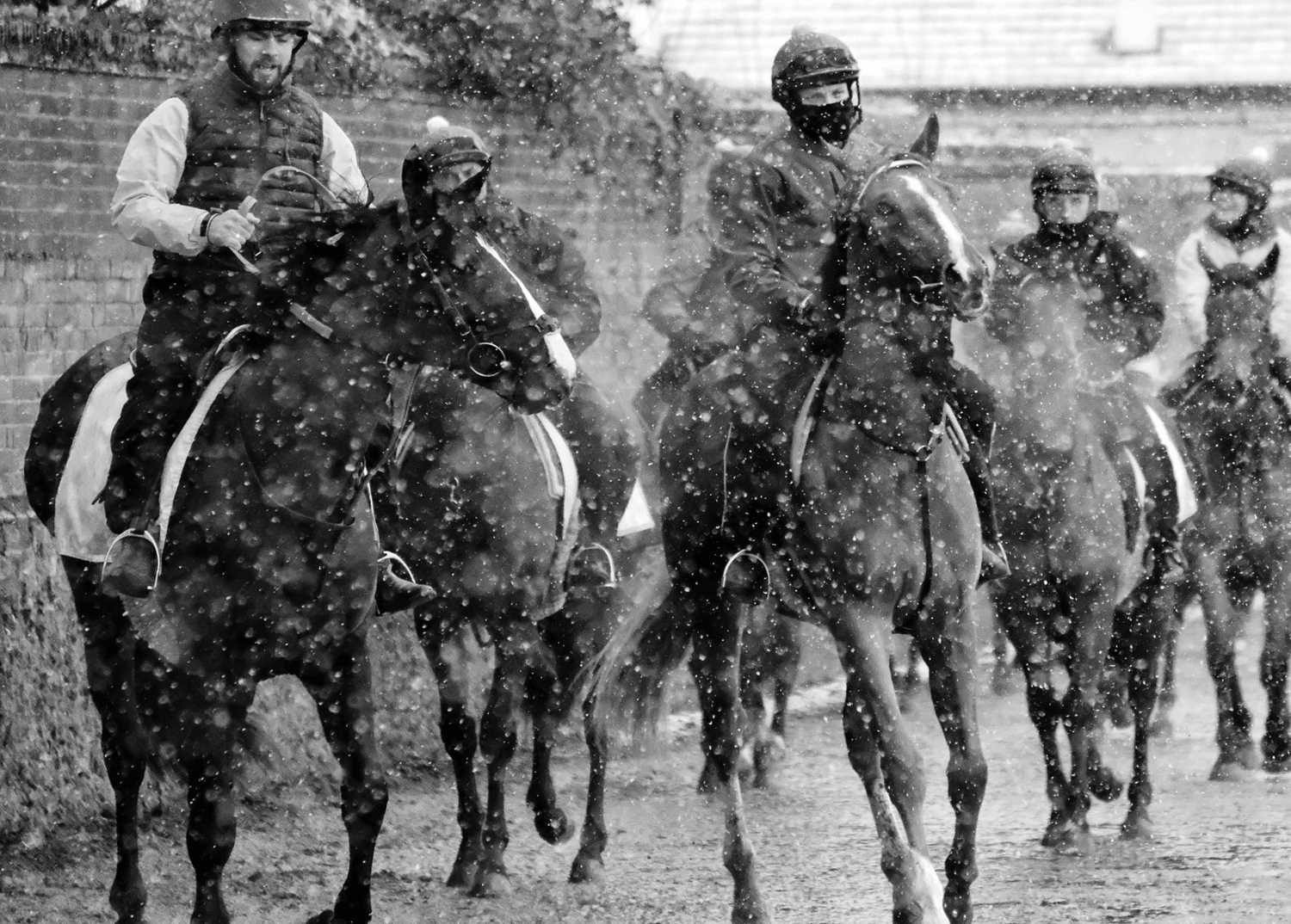 Jayne Odell black and white photographic print, 'Braving the elements', 60cm x 43cm