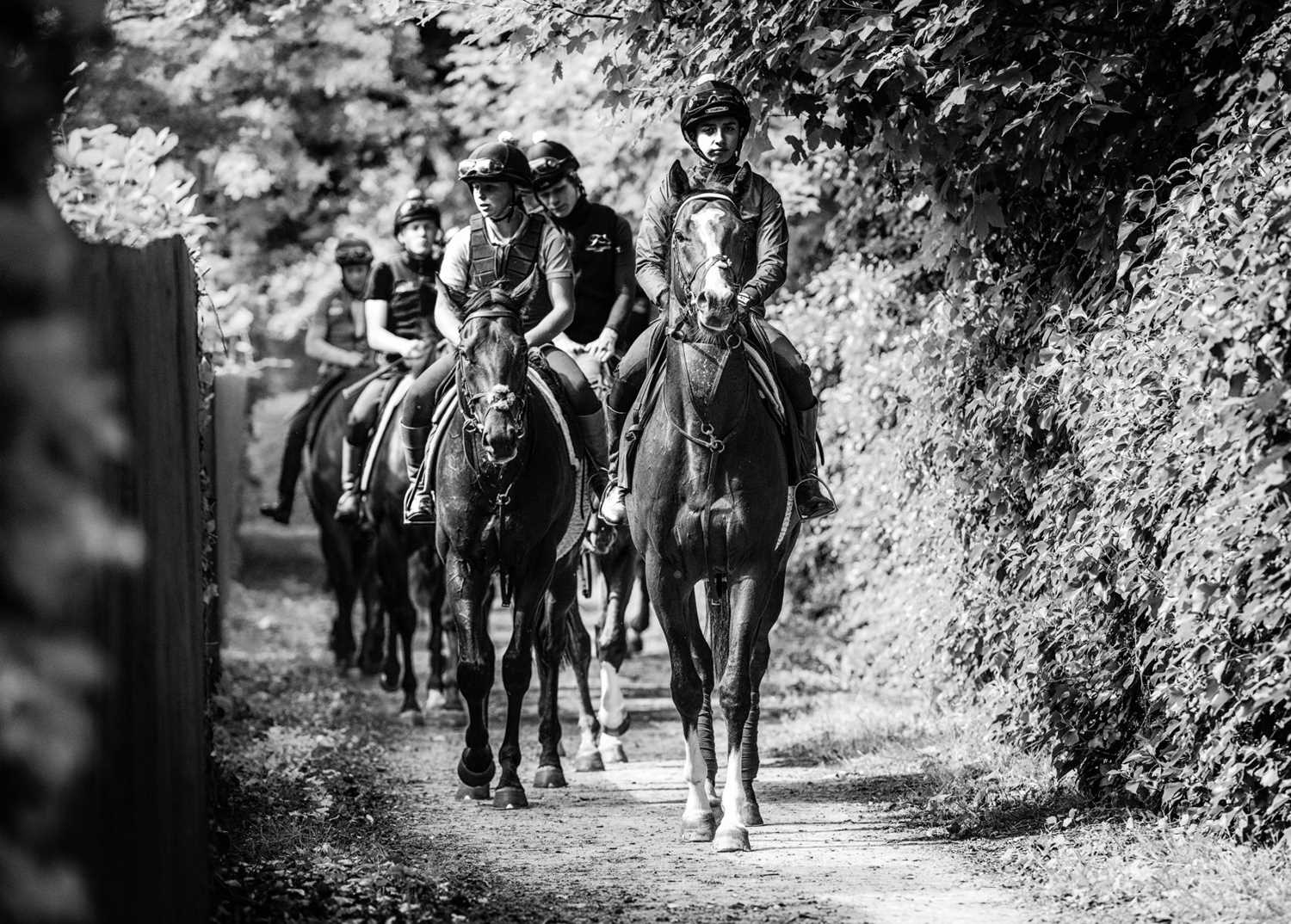 Jayne Odell black and white photographic print, 'Summer return', 60cm x 43cm