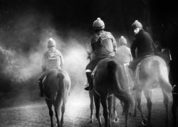 Jayne Odell black and white photographic print, 'New beginnings - out with the yearlings', 60cm x 43
