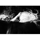 Jayne Odell black and white photographic print, 'Splash', 80cm x 57cm