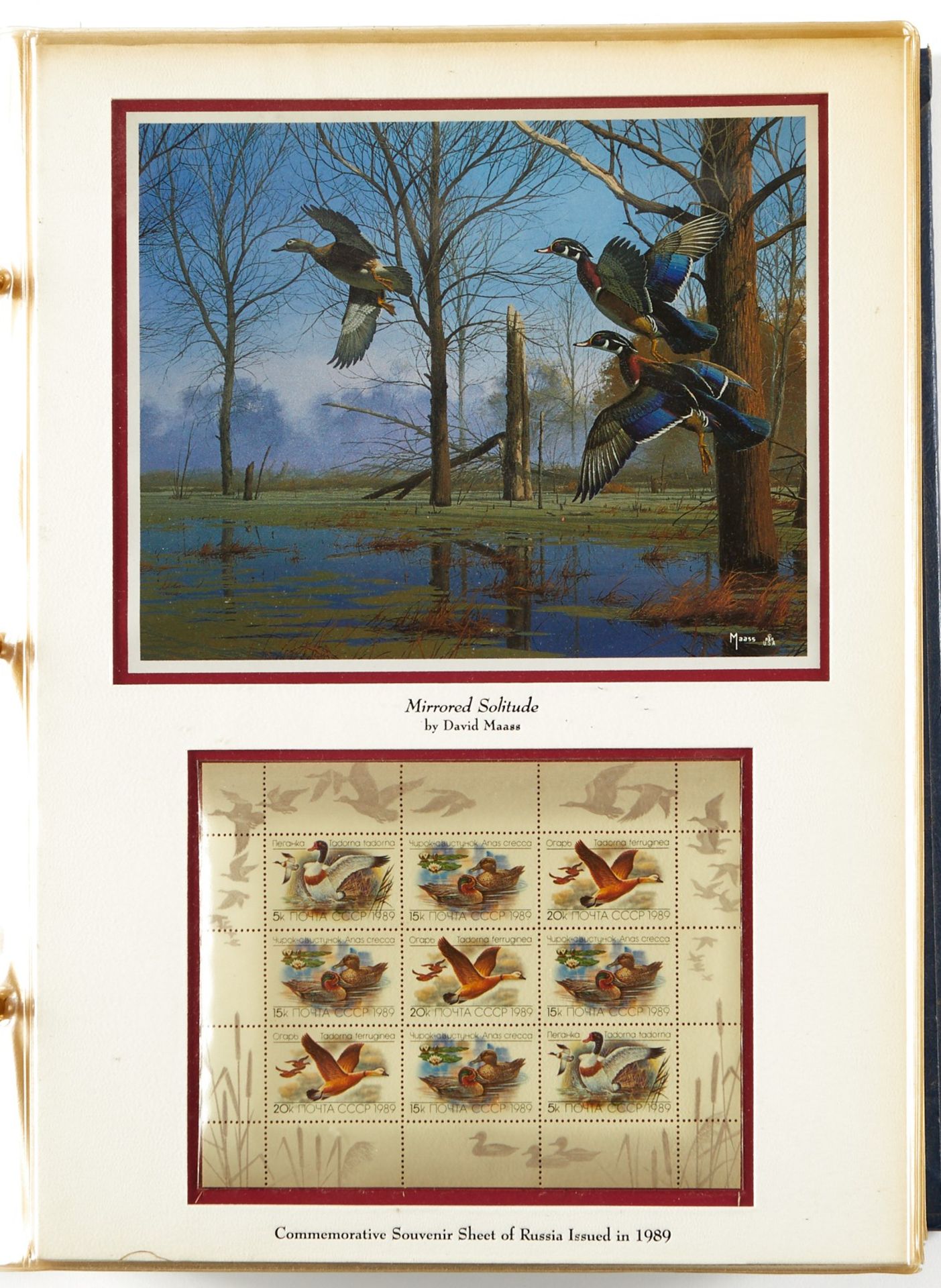 David Maass Duck Stamp Collection - Image 3 of 27