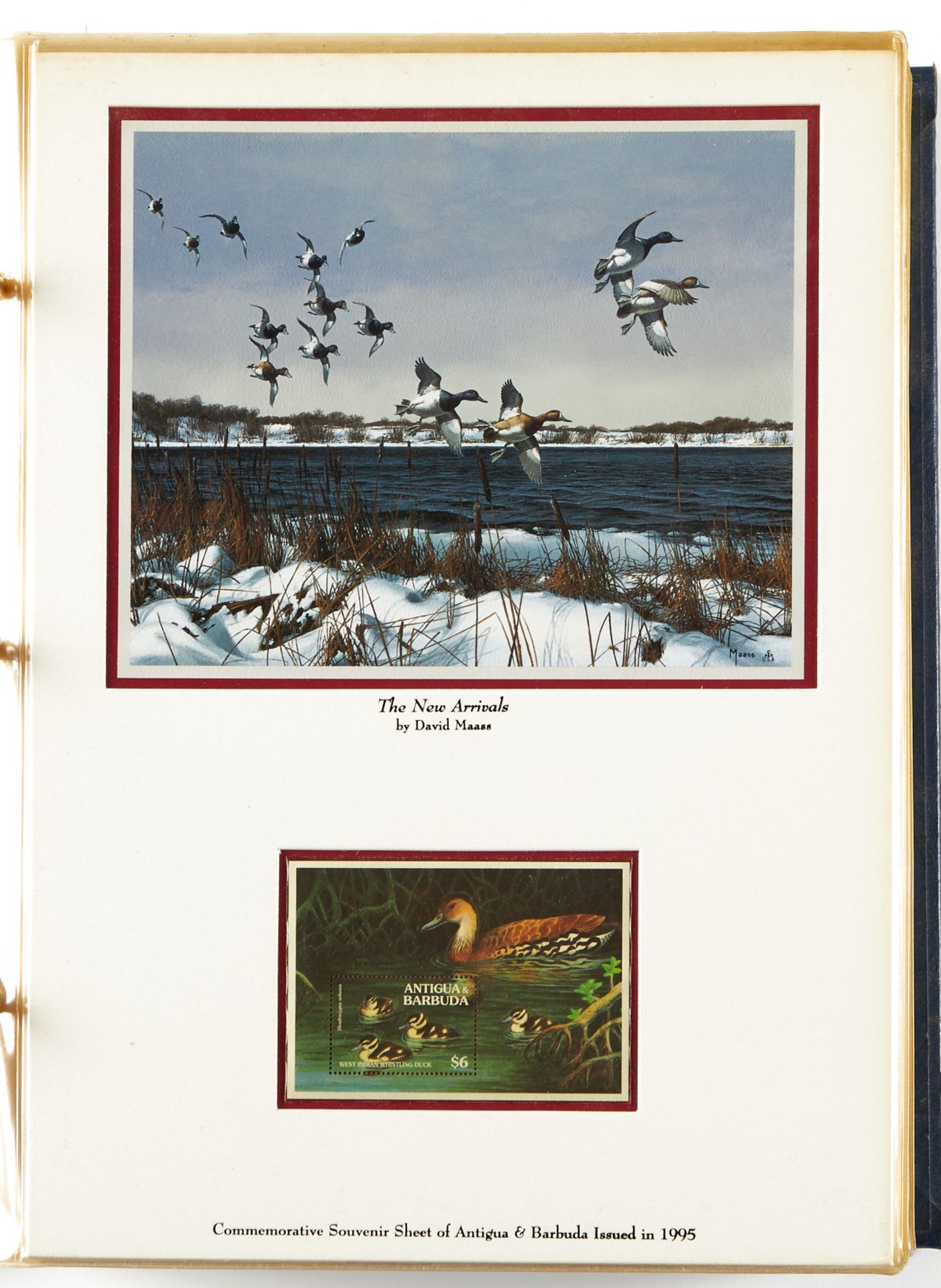 David Maass Duck Stamp Collection - Image 5 of 27