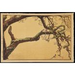 Toshi Yoshida Woodblock Print "Plum Tree with Magpie"