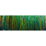 Peter Lik "Bamboo" Limited Edition Photograph