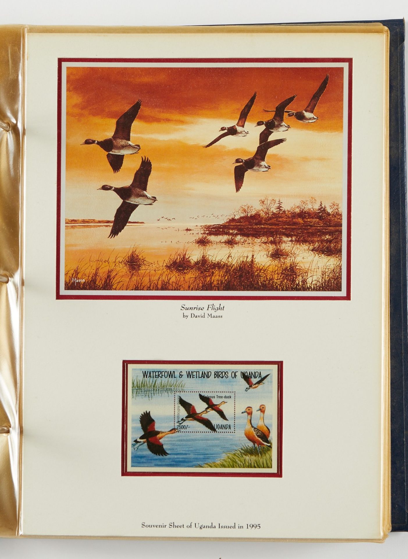 David Maass Duck Stamp Collection - Image 17 of 27