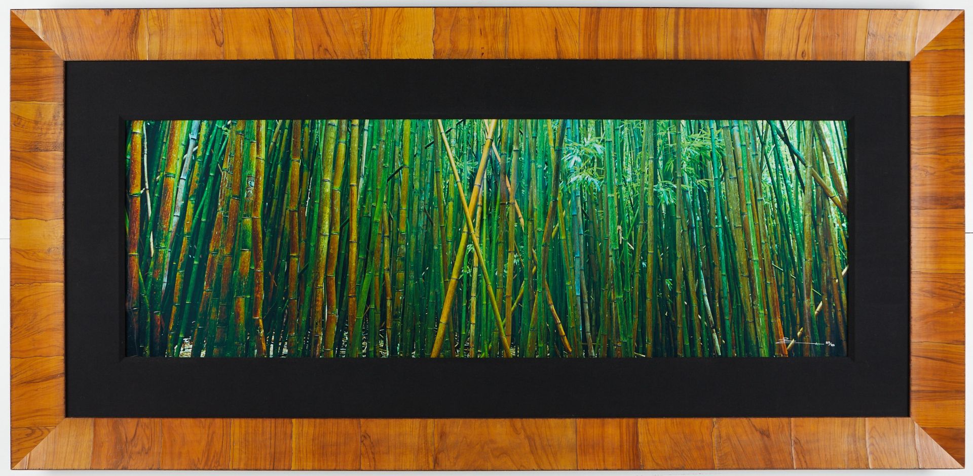 Peter Lik "Bamboo" Limited Edition Photograph - Image 2 of 3