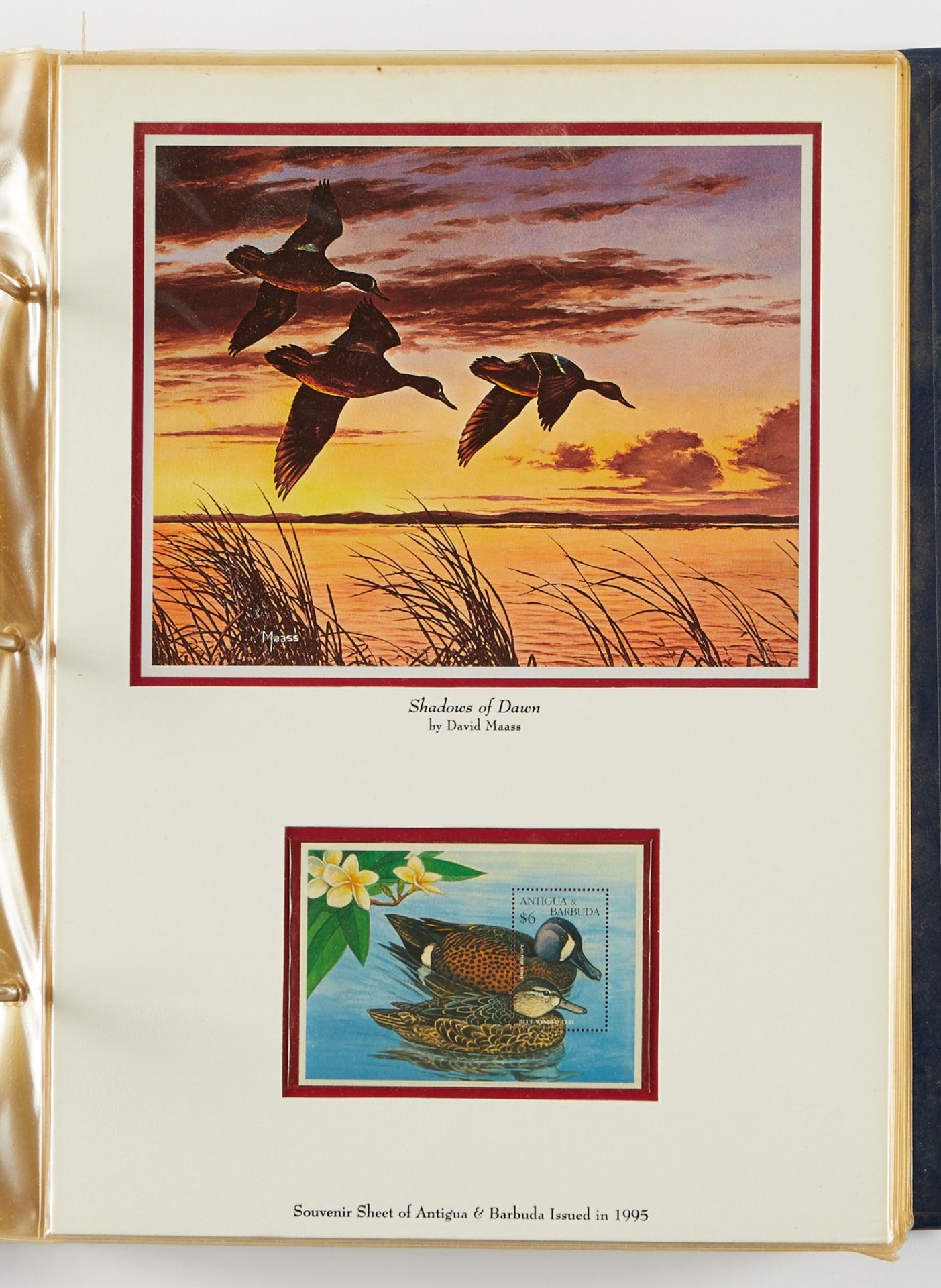 David Maass Duck Stamp Collection - Image 14 of 27