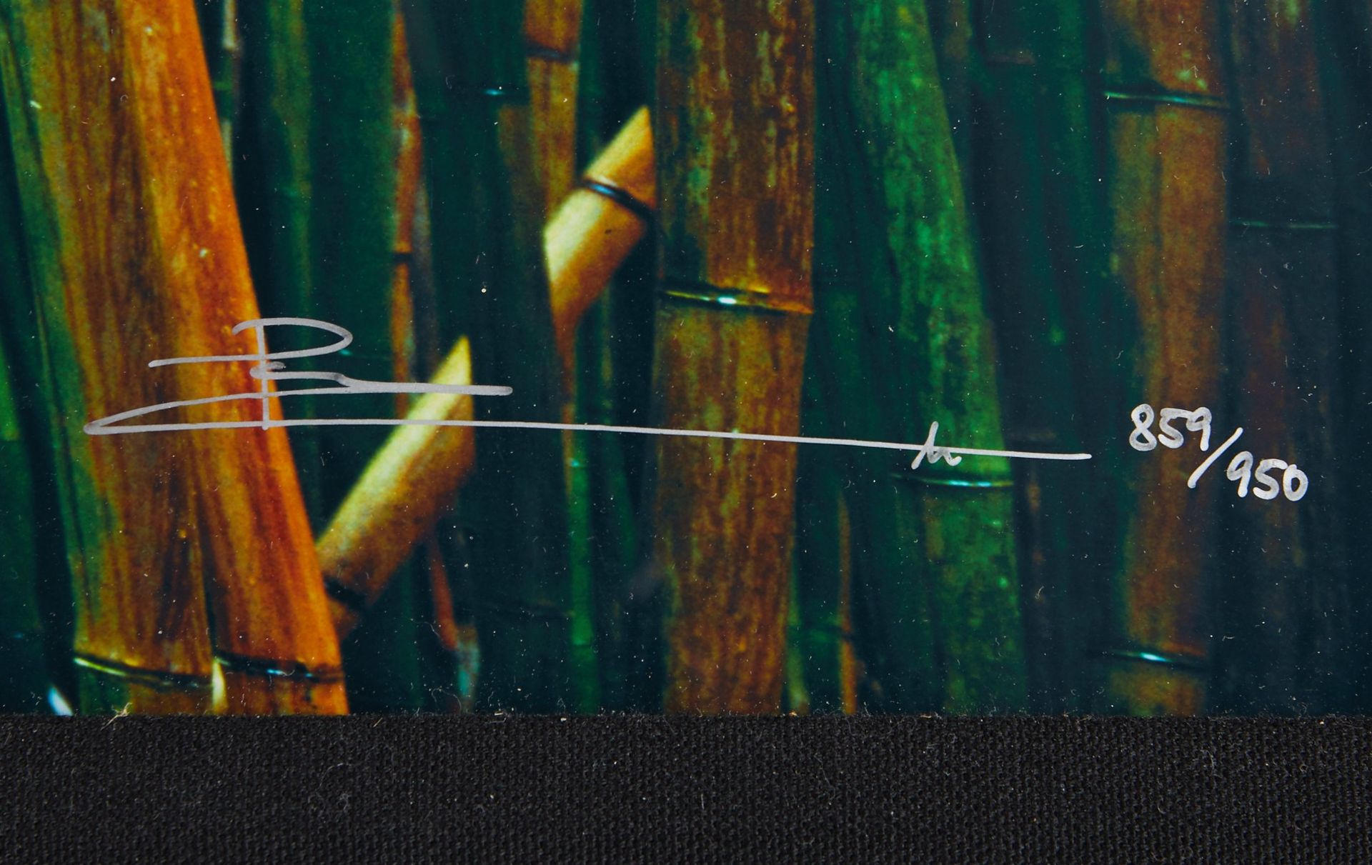 Peter Lik "Bamboo" Limited Edition Photograph - Image 3 of 3