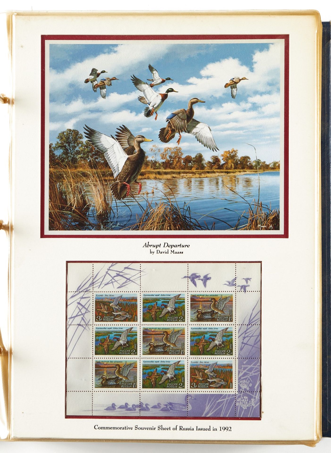 David Maass Duck Stamp Collection - Image 7 of 27