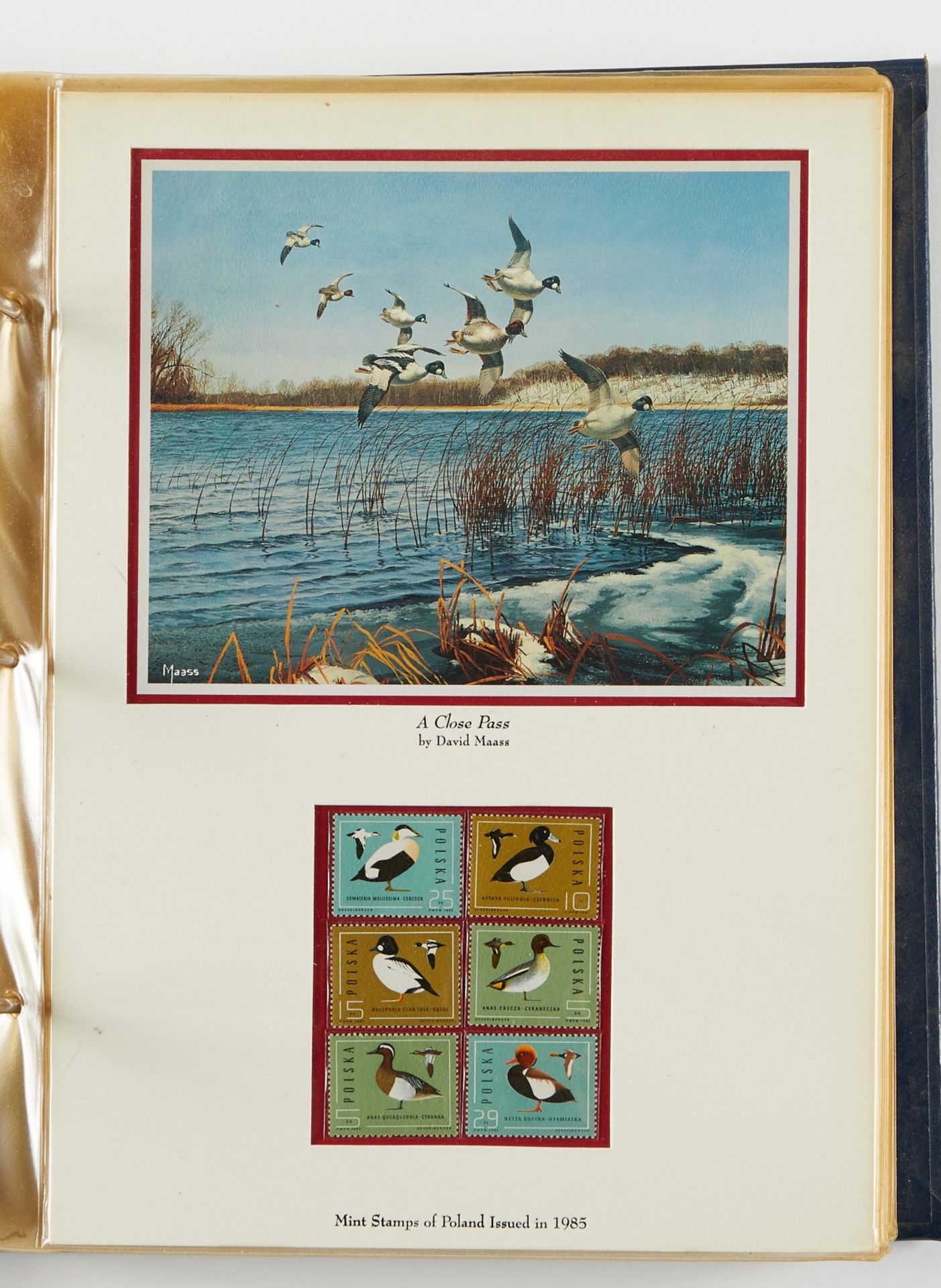 David Maass Duck Stamp Collection - Image 18 of 27