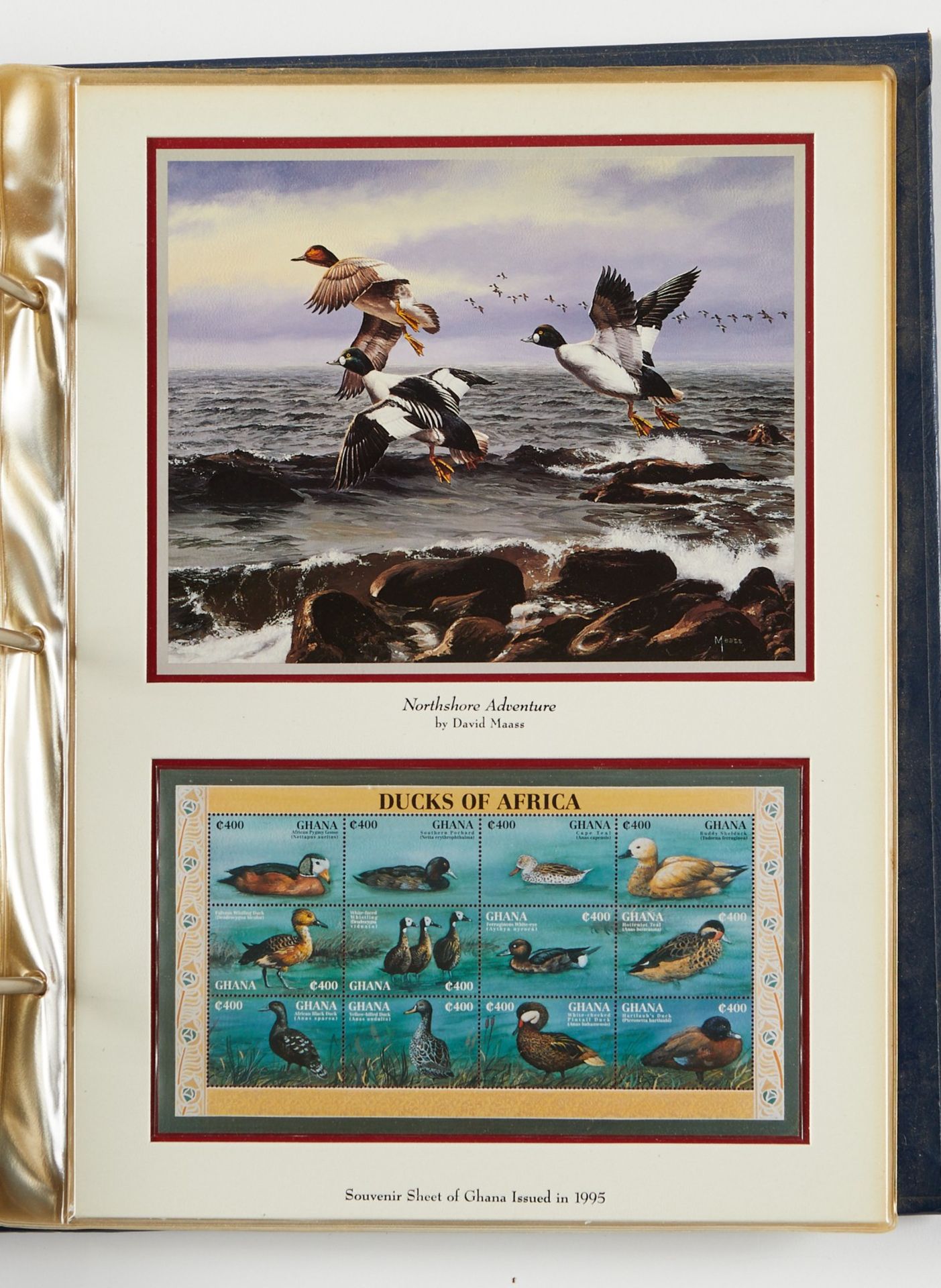 David Maass Duck Stamp Collection - Image 23 of 27