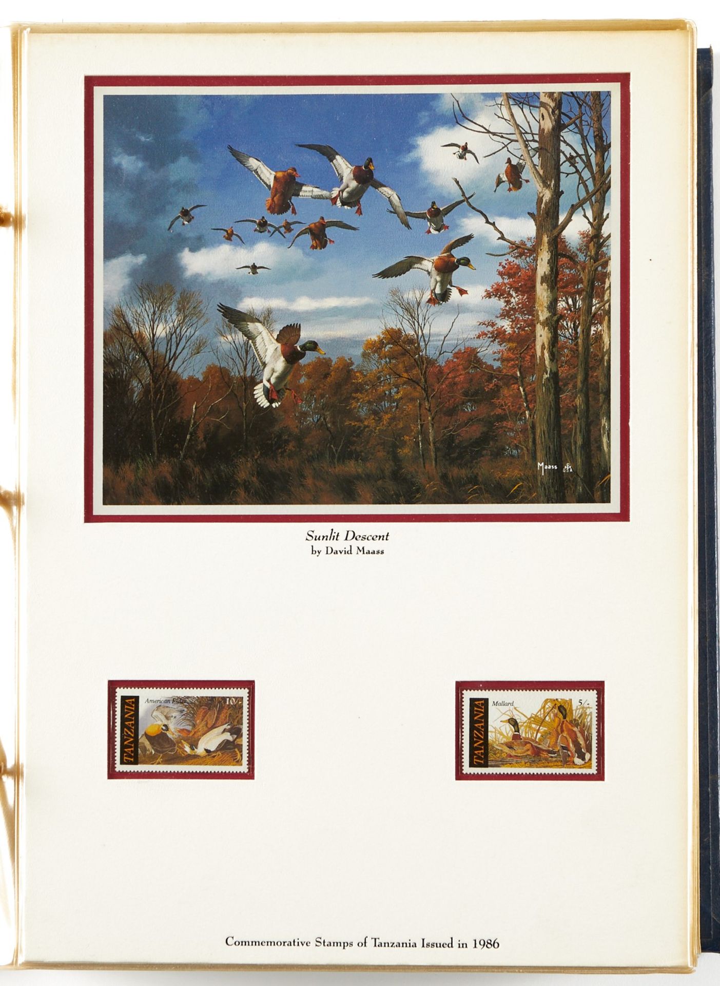 David Maass Duck Stamp Collection - Image 4 of 27