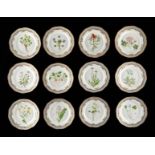 Set: 12 Flora Danica Luncheon Plates