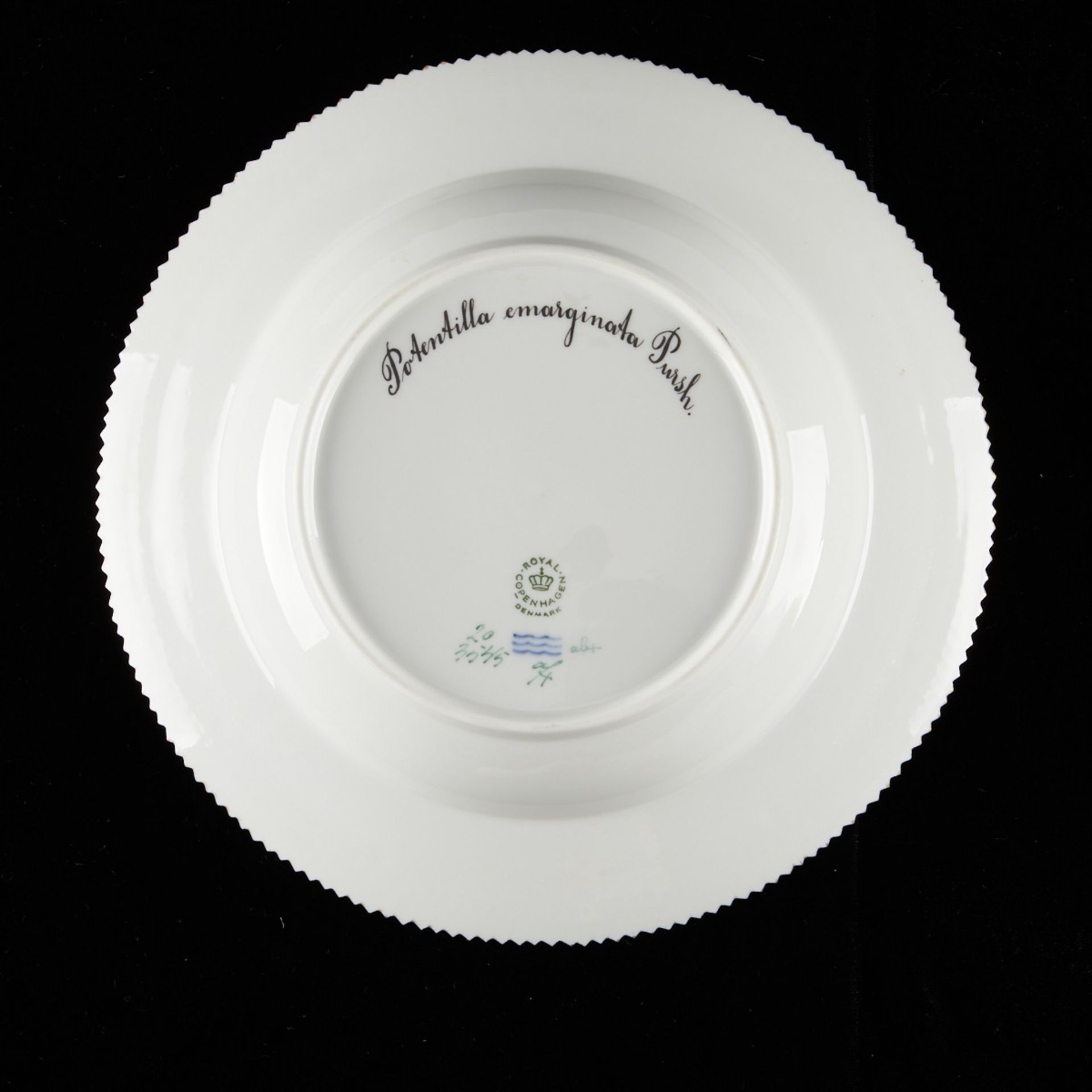 Set: 12 Flora Danica Flat Rim Soup Plates - Bild 12 aus 27