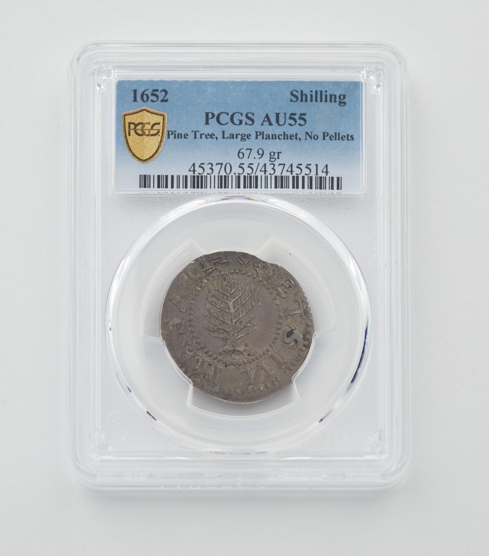 1652 Pine Tree Shilling Large Planchet PCGS AU55 - Bild 2 aus 2