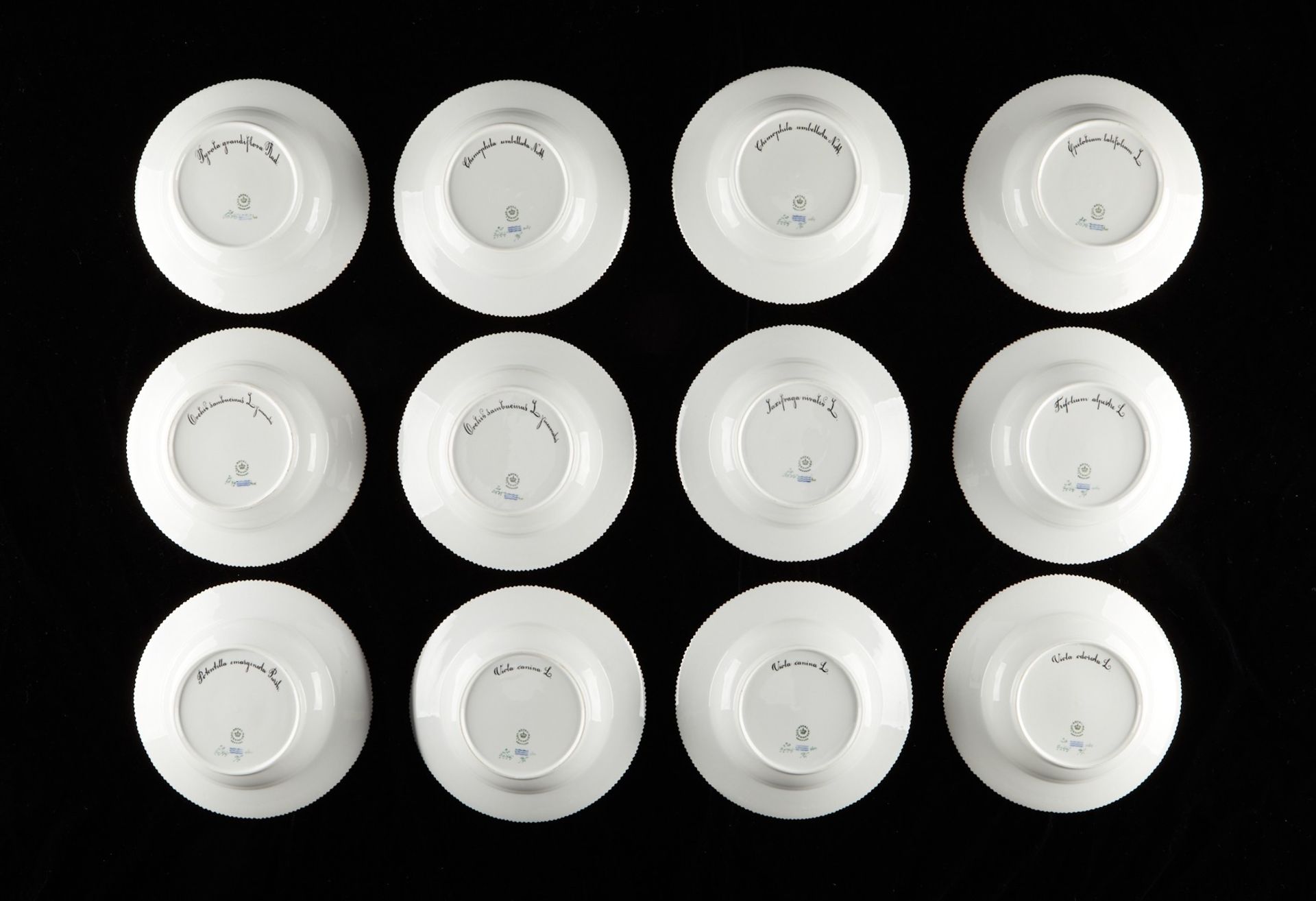 Set: 12 Flora Danica Flat Rim Soup Plates - Bild 2 aus 27