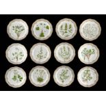 Set: 12 Flora Danica Reticulated Dinner Plates