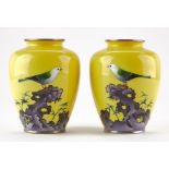 Pr Japanese Cloisonne Vases w/ Yellow Ground & Birds