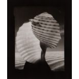 Ruth Thorne-Thomsen "Shell Head" Photo