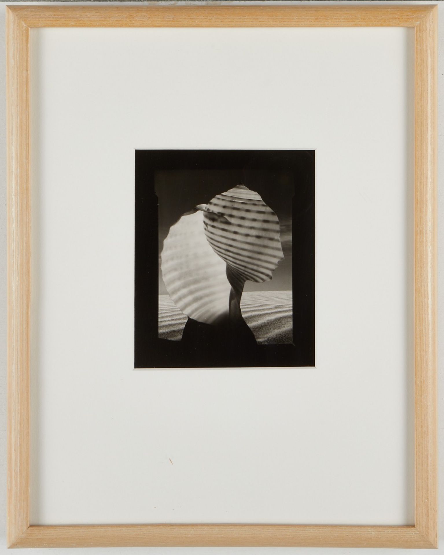 Ruth Thorne-Thomsen "Shell Head" Photo - Image 2 of 2