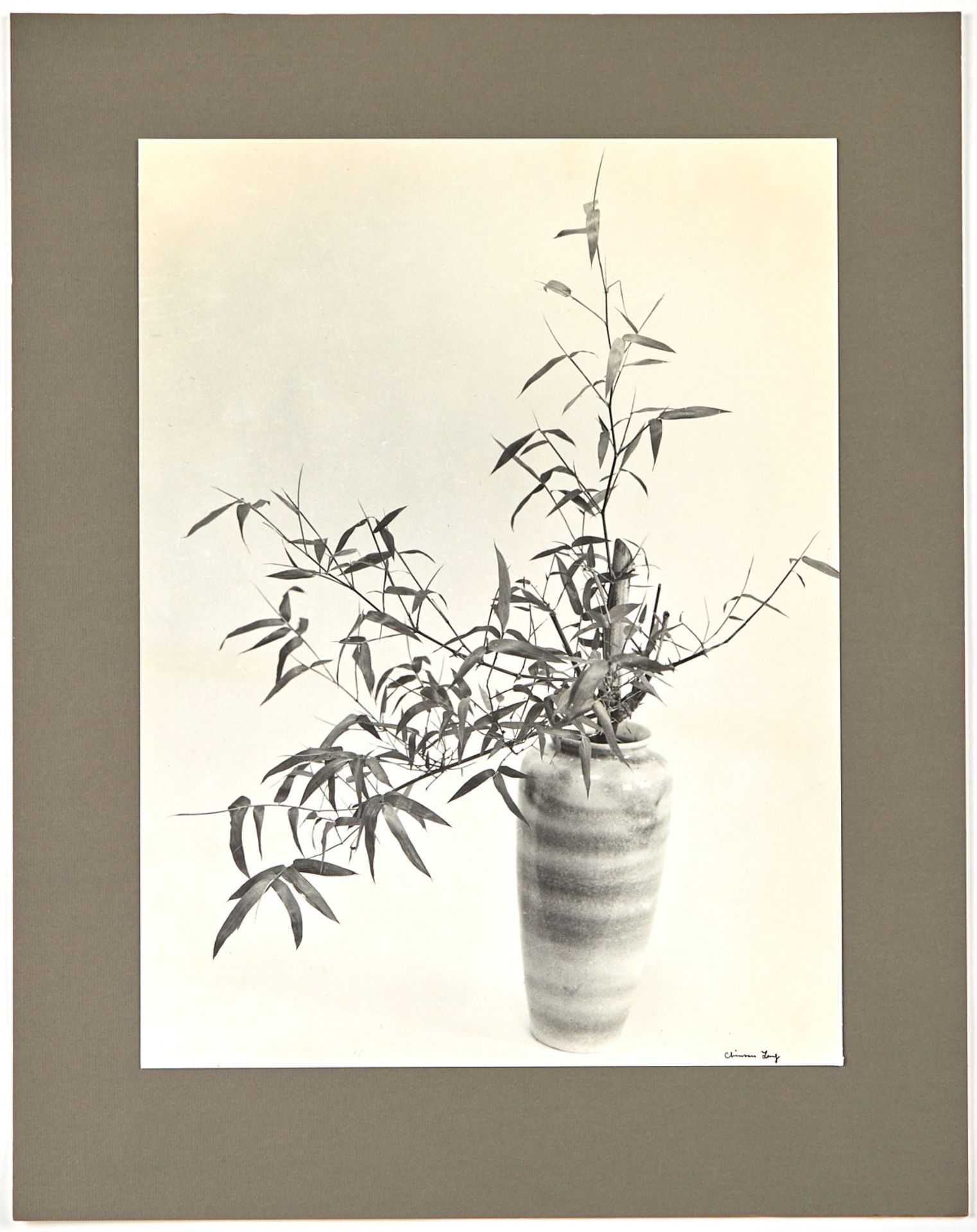 Chin San Long Photograph - Bamboo Still Life - Bild 2 aus 4