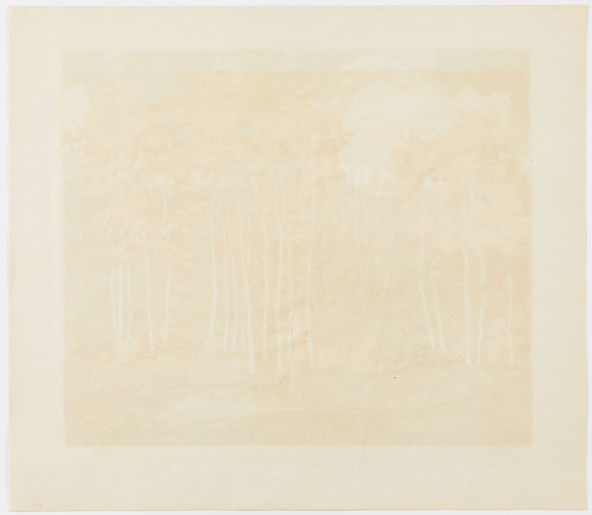Norma Bassett Hall "Aspen and Spruce" Serigraph - Image 5 of 5