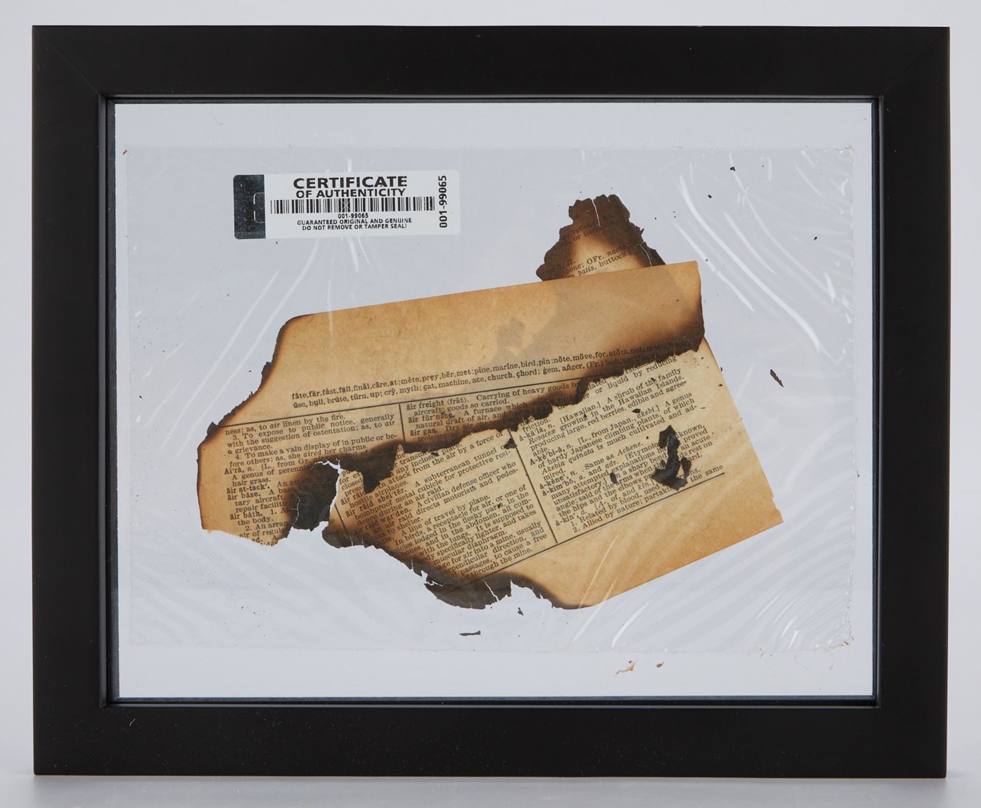 World Trade Center Fragment & Ephemera - Bild 4 aus 11