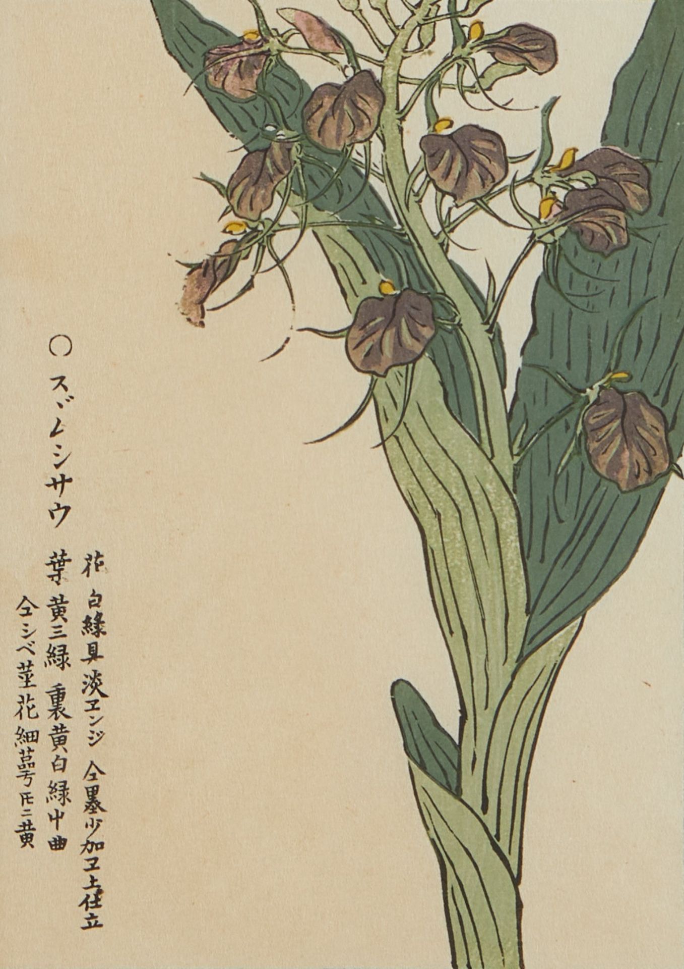 5 Japanese Woodblock Prints Hiroshige Kono Bairei - Bild 3 aus 6