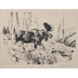 Carl Rungius Etching "The Traveler"