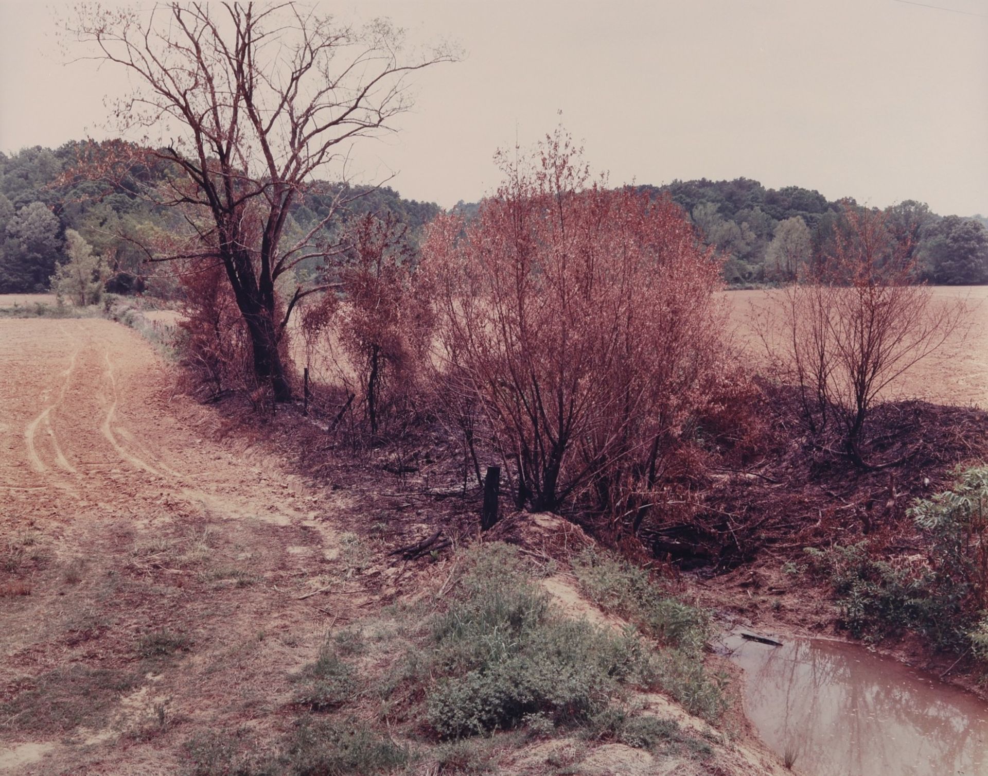 Frank Gohlke "A Burned Patch" Photograph