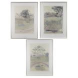 3 Ron Pokrasso "Landscape 1985" Etchings