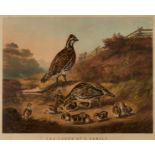 Currier & Ives "Cares of a Family" Print 1856