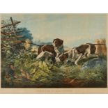 Currier & Ives "Am. Field Sports On a Point" Print