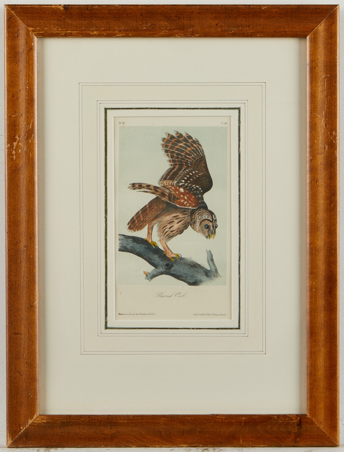 2 Audubon Owl Prints J.T. Bowen - Image 2 of 10