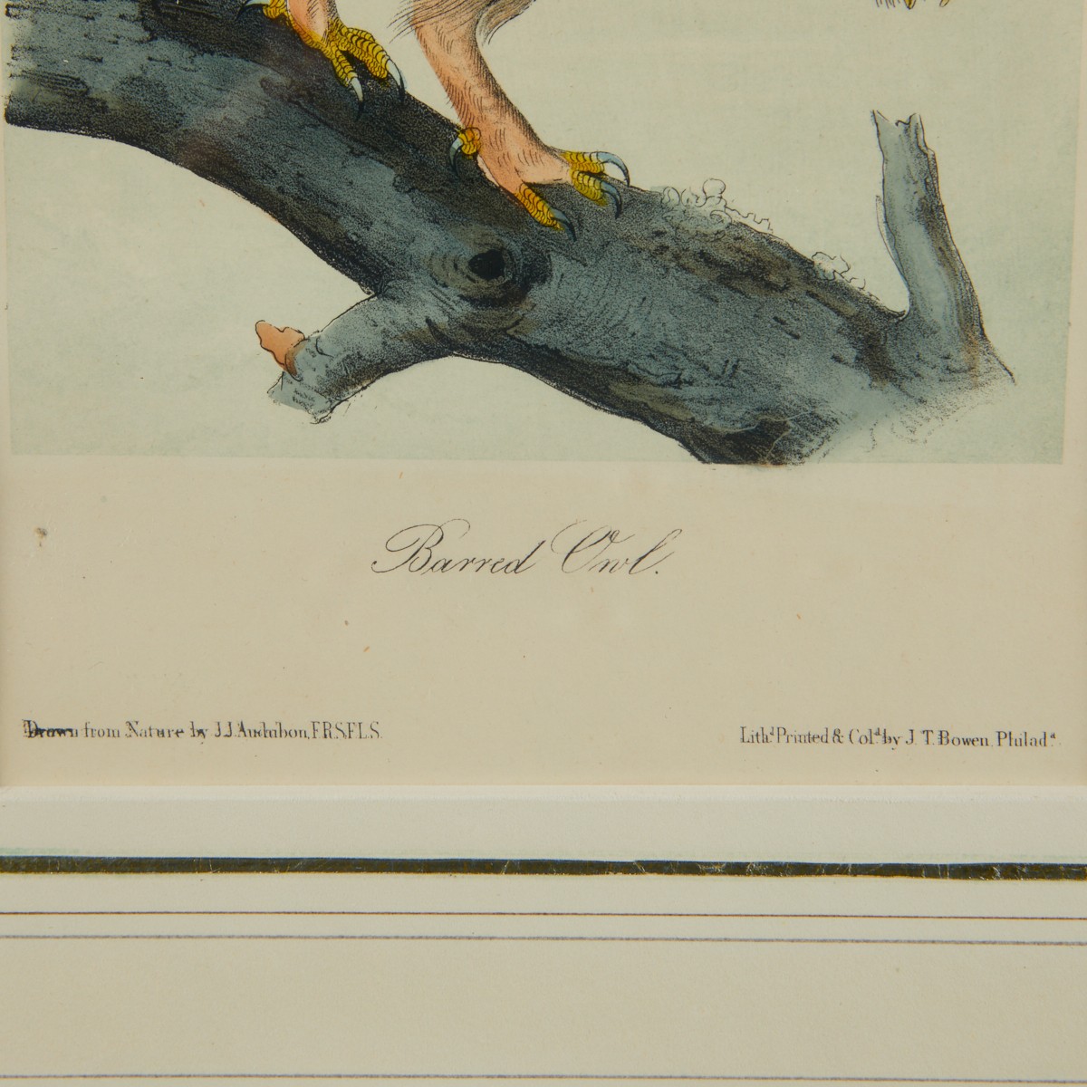 2 Audubon Owl Prints J.T. Bowen - Image 4 of 10