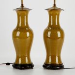 Pair of Chinese Dark Celadon Lamps