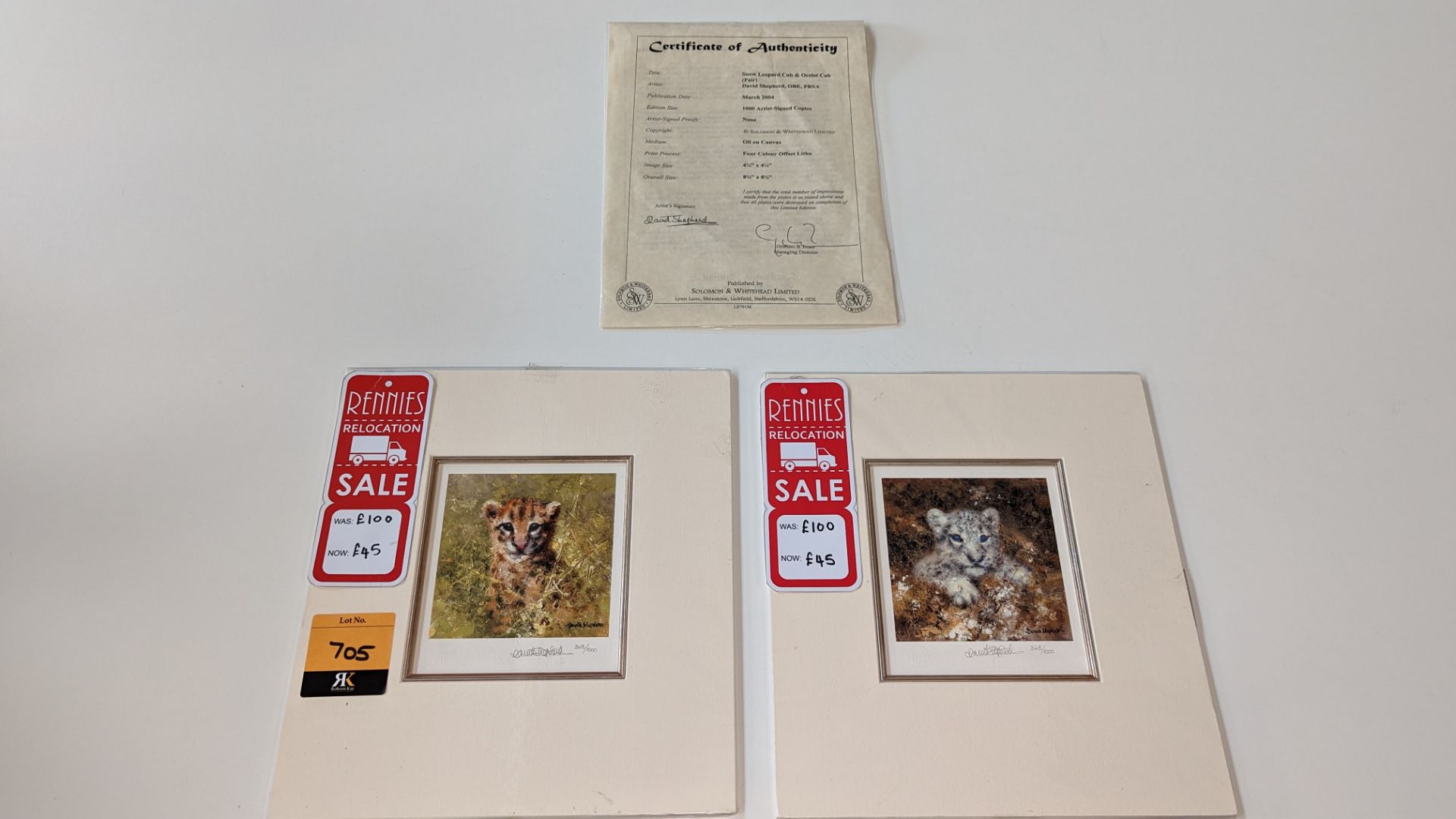 Pair of limited edition prints by David Shepherd OBE FRSA, "Snow Leopard Cub" & "Ocelot Cub", each p