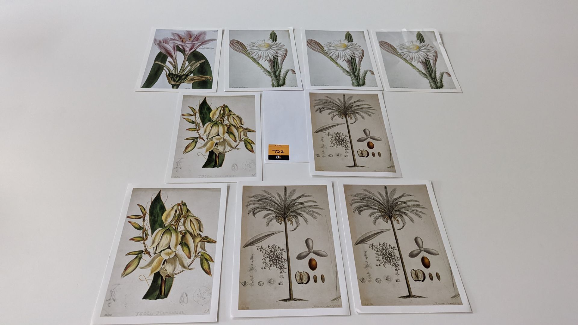 9 numbered limited edition botanical prints, each measuring 210mm x 295mm. Four different designs in