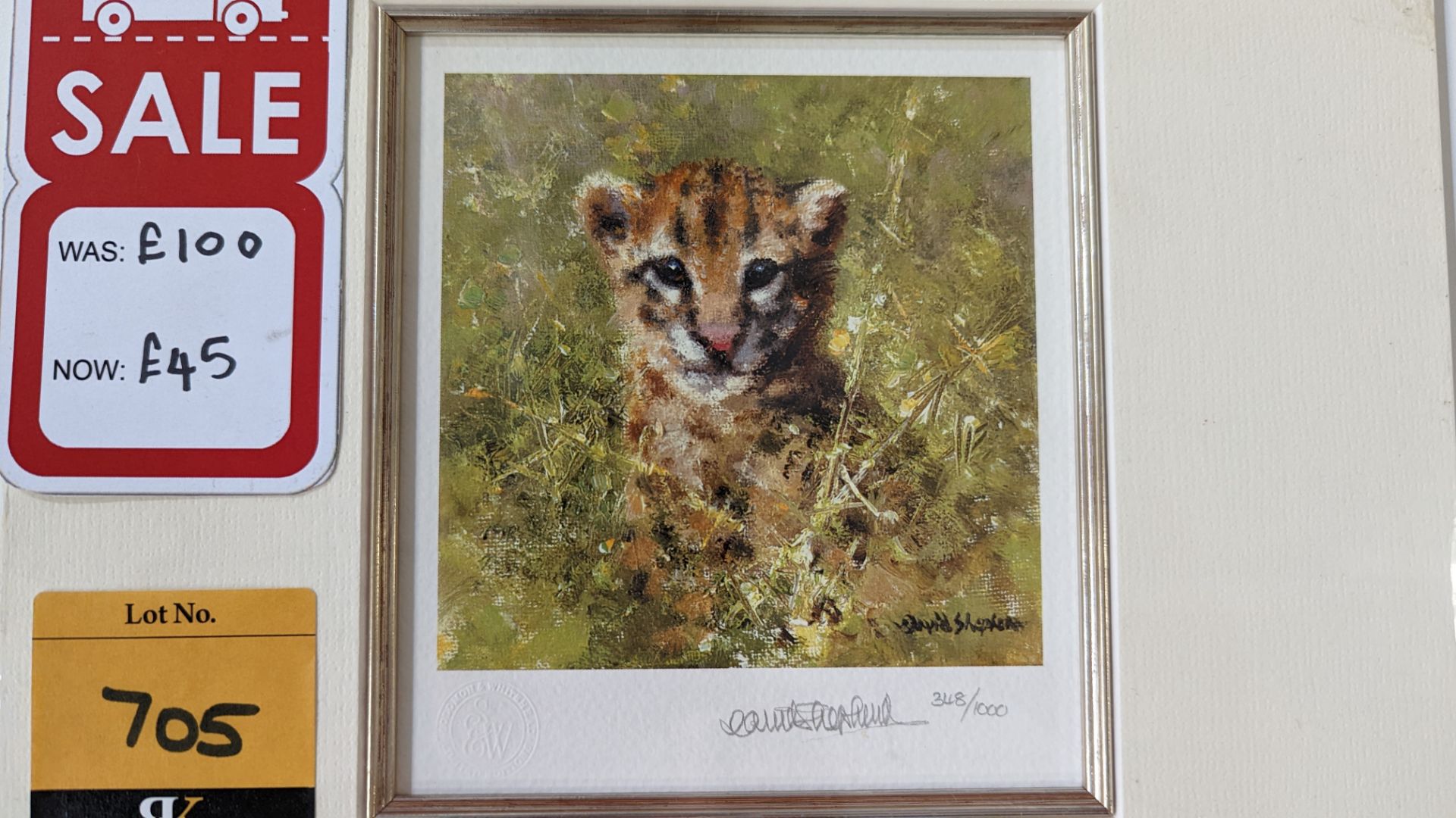 Pair of limited edition prints by David Shepherd OBE FRSA, "Snow Leopard Cub" & "Ocelot Cub", each p - Image 9 of 12