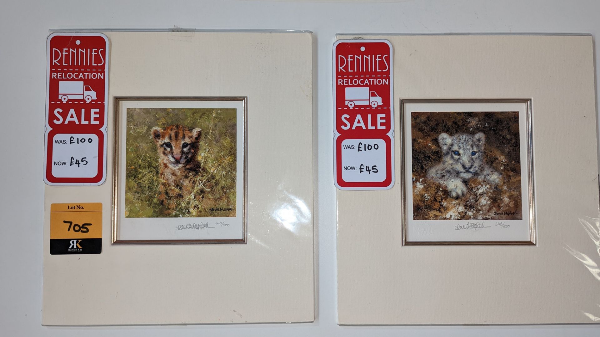 Pair of limited edition prints by David Shepherd OBE FRSA, "Snow Leopard Cub" & "Ocelot Cub", each p - Image 3 of 12